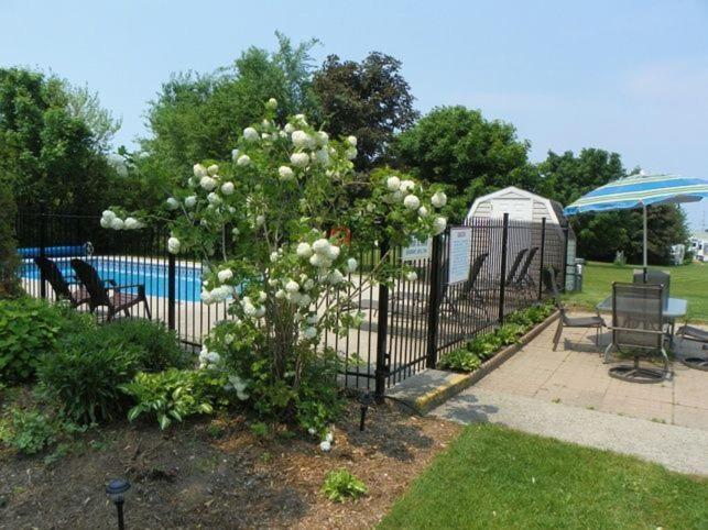 Lakeview Motel & Cottage Kincardine Exteriör bild